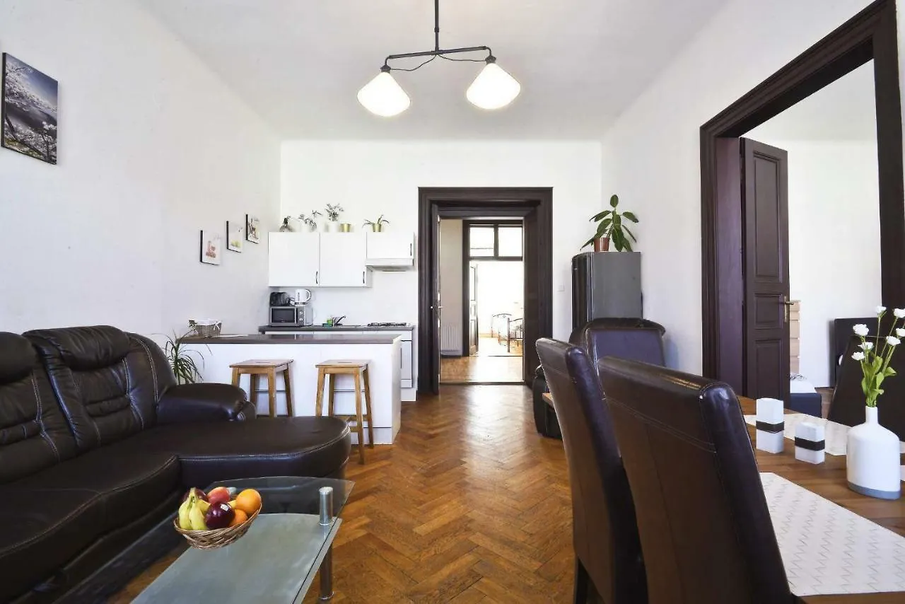 Spacious Cozy Apartments In Centre 프라하