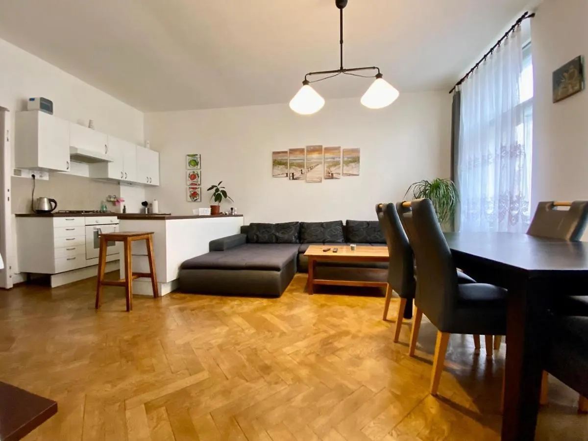 Spacious Cozy Apartments In Centre Praga