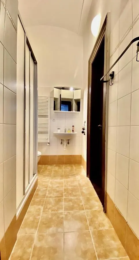 Spacious Cozy Apartments In Centre Praga