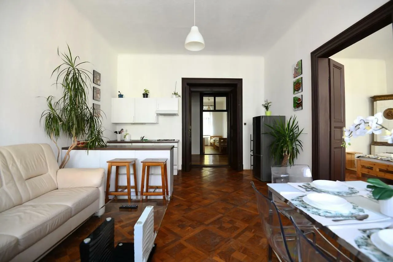 Spacious Cozy Apartments In Centre Praga