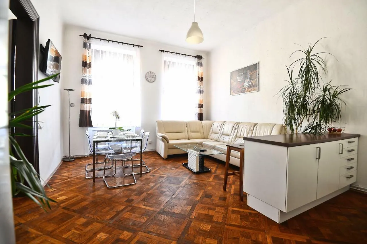 Spacious Cozy Apartments In Centre location