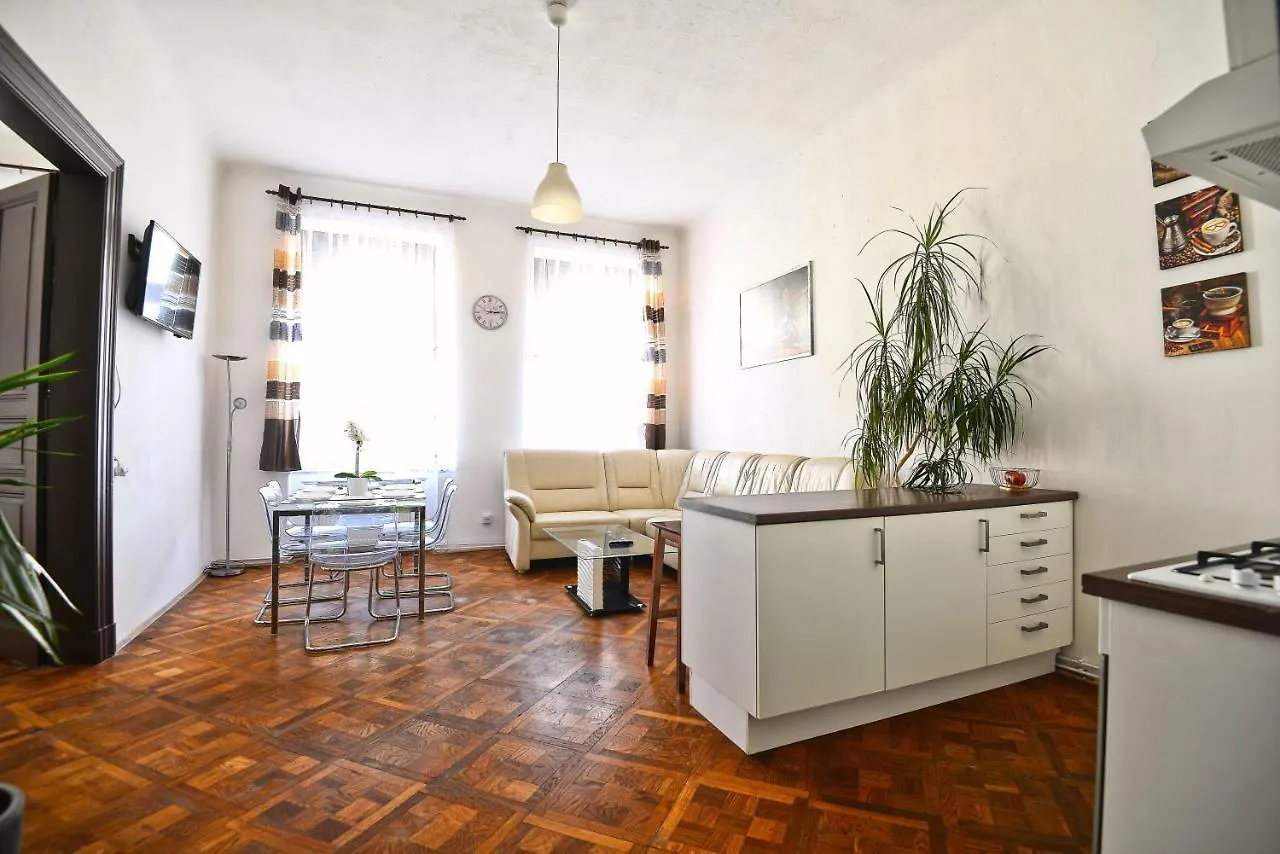Spacious Cozy Apartments In Centre 프라하